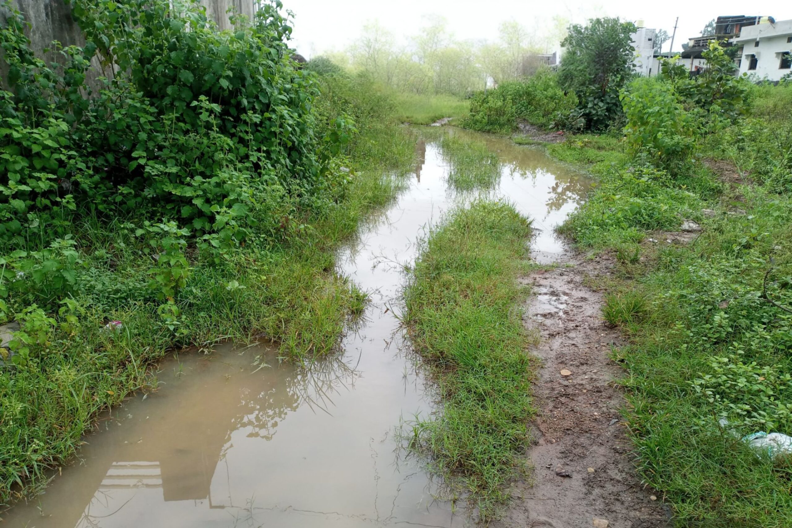 रस्त्याअभावी गिरोला वासियांचे हाल; उपाययोजना करण्याची मागणी