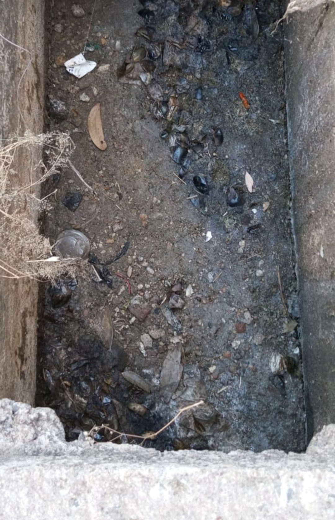 नालीतील घाणीमुळे परिसरात दुर्गंधी; सावरीवासियांचे आरोग्य धोक्यात